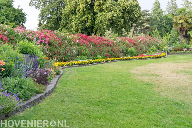 Hoveniersbedrijf Plantenservice Van der Weide