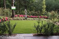 Verschillende planten rondom nieuw gazon van graszoden 2