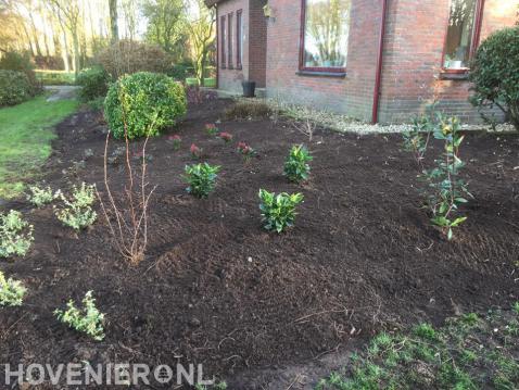 Nieuwe beplanting in voortuin