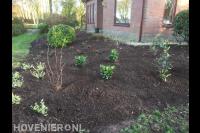 Nieuwe beplanting in voortuin