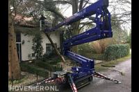 Wiegersma Boomverzorging