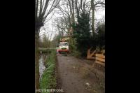 Bomen snoeien met hoogwerker