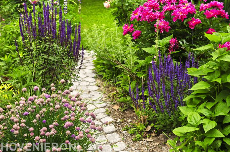 Hoveniersbedrijf Kruijt