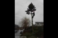 Boom kappen mbv klimtechnieken 1