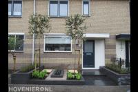 Leibomen in voortuin