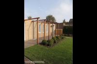 Buxusbollen bij houten pergola