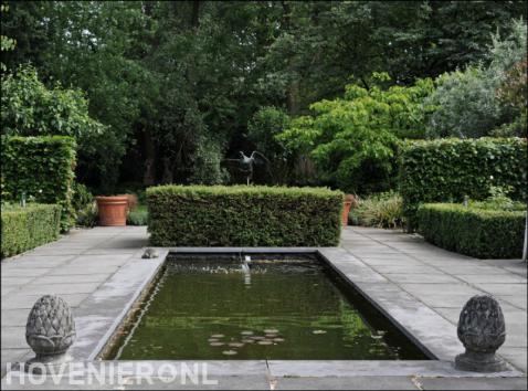 Strakke vijver in tuin met veel groen