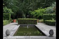 Strakke vijver in tuin met veel groen