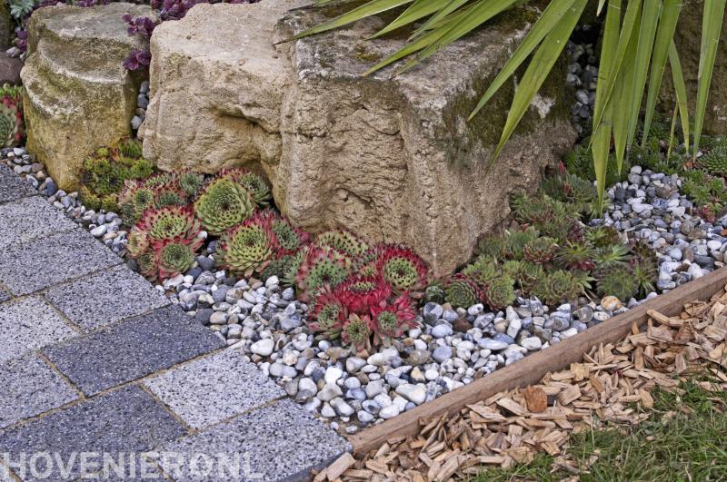 Hoveniersbedrijf Patrick Fleming