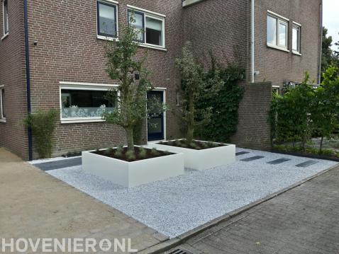 Moderne voortuin met perenbomen in plantenbakken