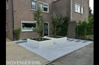 Moderne voortuin met perenbomen in plantenbakken