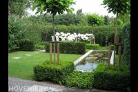 Stadstuin met vijver, gazon, hortensia's en trompetbomen