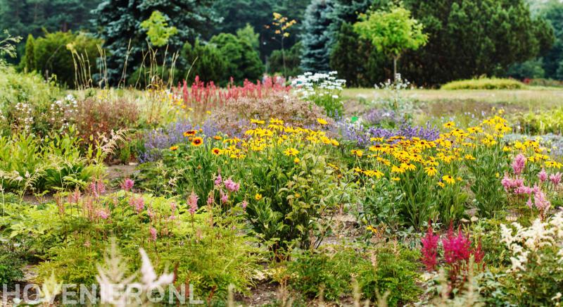 Hoveniersbedrijf Imminkhuizen