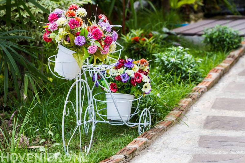 Marco Olieman Hovenier