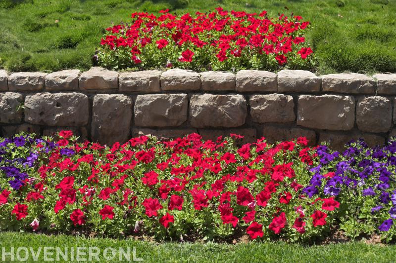 Hoveniersbedrijf Ton van Gijn