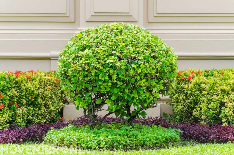 Hoveniersbedrijf Y.D. Groeneveld