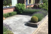 Voortuin met sierbestrating en verhoogde border met lavendel