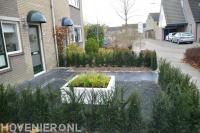 Moderne voortuin met bestrating, split, witte plantenbak en haag