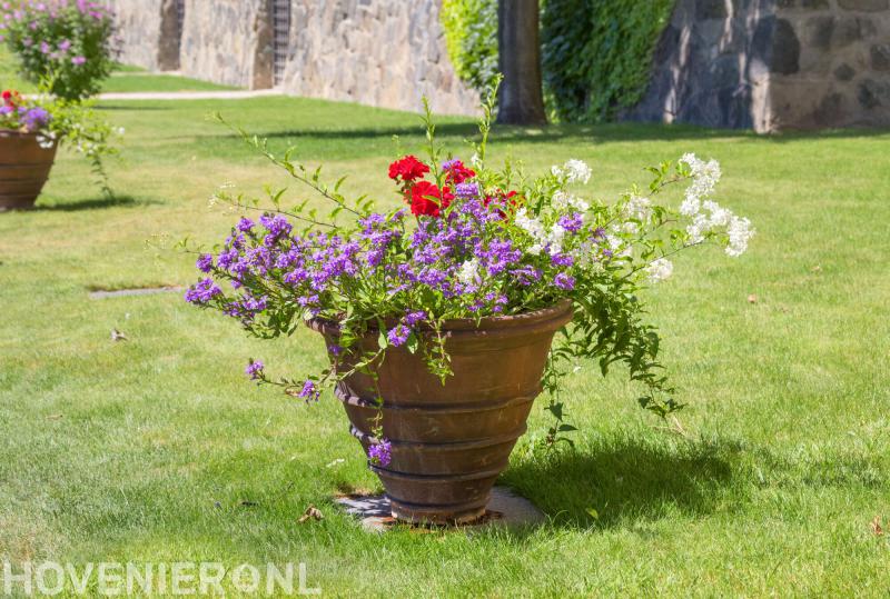 Jan Snelderwaard Tuinontwerp- en Aanleg