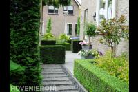 Voortuin met kiezels en strakke heg