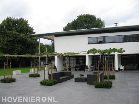 Strakke achtertuin met terras van grote tegels en leibomen 1