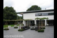 Strakke achtertuin met terras van grote tegels en leibomen 1