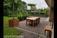 Terras van klinkers met tuinmeubels en dakplatanen in plantenbakken 1