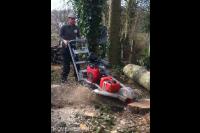 Boomstronk verwijderen met stobbenfrees