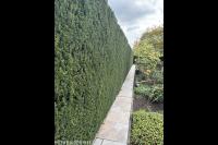 Groenonderhoud Schaper