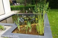 Kleine strakke vijver