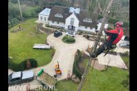 Boom kappen met behulp van klimtechnieken