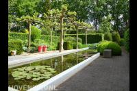 Groene tuin met strakke vijver en grote dakplatanen 1