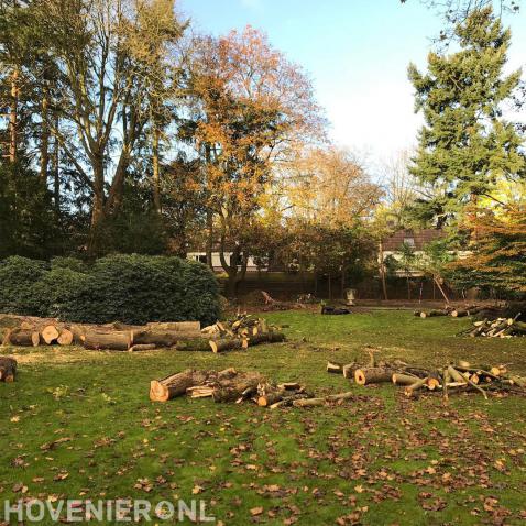 Bomen kappen en klein zagen