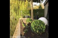 Onkruid verwijderen uit borders