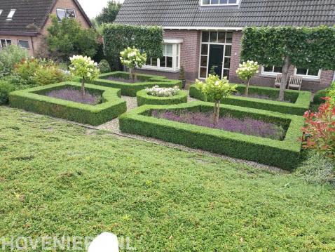 Klassieke tuin met hagen en leibomen