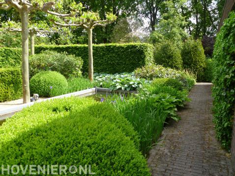 Groene tuin met strakke vijver en grote dakplatanen 2