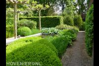 Groene tuin met strakke vijver en grote dakplatanen 2