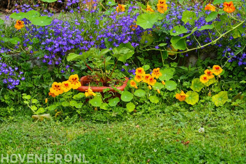 Peter Heeremans Hoveniers- en Loonbedrijf