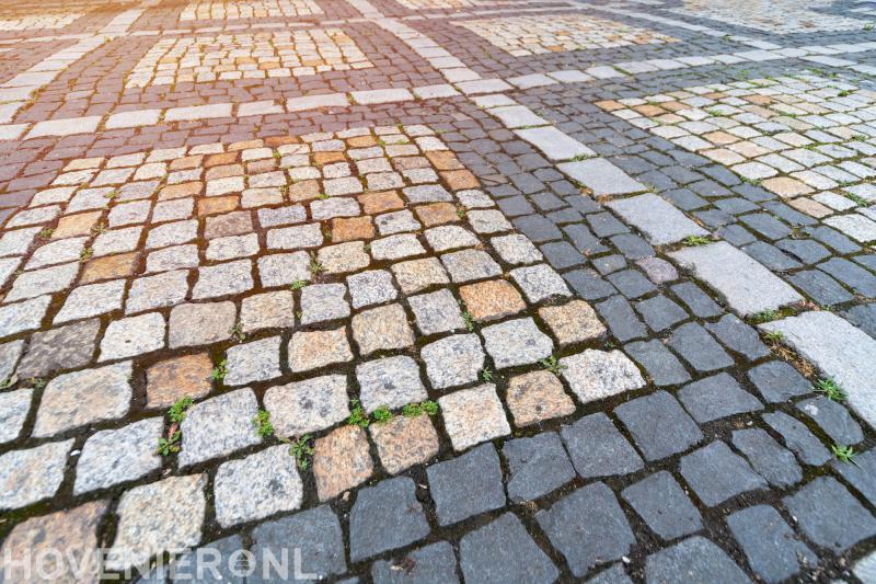 Hoveniersbedrijf Bisschop