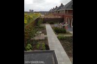 Strakke tuin met terras, borders en hedera schutting 2