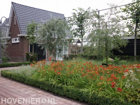 Border met kleurrijke beplanting en leibomen