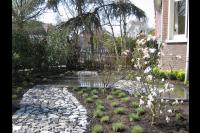 Tuin met terras en tuinpad van kasseien