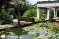 Vijver met waterlelies