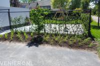 Siergrassen planten in border langs hekwerk