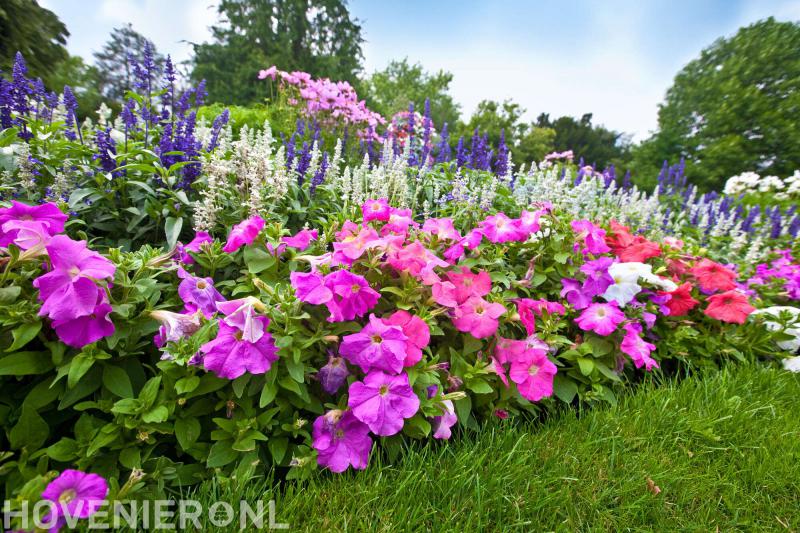 Van Tuinen Tuinservice