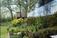 Border met veel verschillende soorten planten onder verhoogd terras