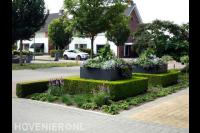 Voortuin met buxus en bloembakken