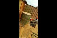 Boomstam tot net boven de grond afzagen met kettingzaag