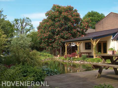 Houten vlonder met picknicktafel bij vijver