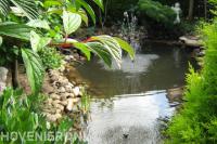 Fonteintjes in vijver